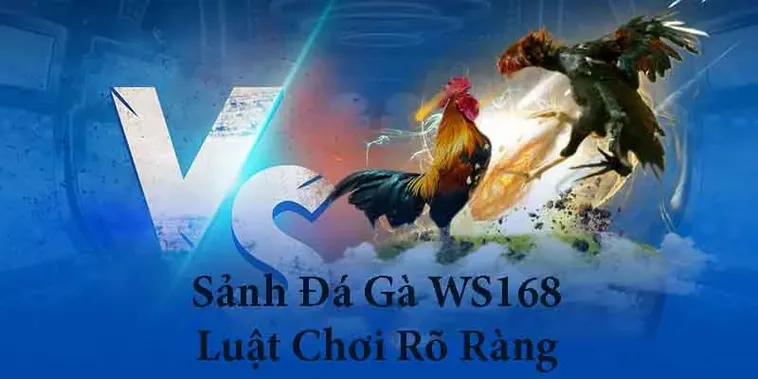Hướng Dẫn Cách Chơi Đá Gà WS168 Tại Fun88 Để Thắng Lớn 2 Hướng Dẫn Cách Chơi Đá Gà WS168 Tại Fun88 Để Thắng Lớn
